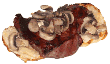 Steak Sandwich