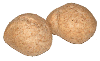 Whole Wheat Buns
