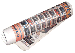 Rolled Newspaper