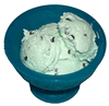 Mint Chocolate Chip Ice Cream