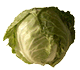 Cabbage Head