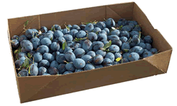 Box of Plums