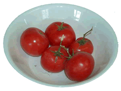 Bowl of Tomatoes