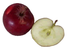 Apple with Half