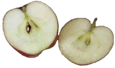 Apple Halves