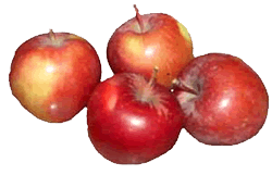 Apples