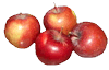 Apple Group
