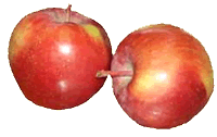 Apples