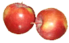 Delicious Apples