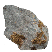 Mossy Rock