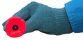 Holding Poppy