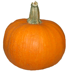 Pumpkin