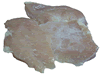 Frozen Chicken