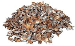 Pile of Leaves