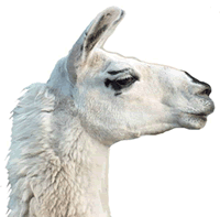 Llama