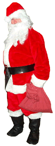 Santa Claus Holding Sack