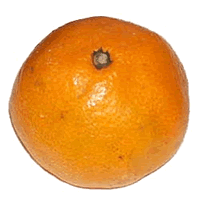 Mandarin Orange
